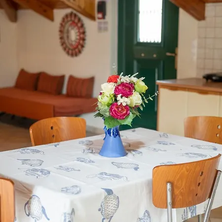 公寓 福斯豪华公寓 *