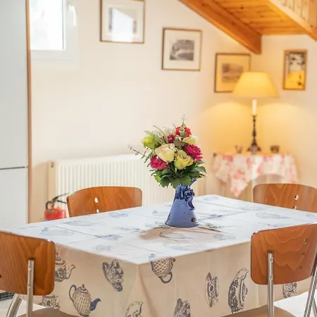 公寓 福斯豪华公寓 Agia Efimia